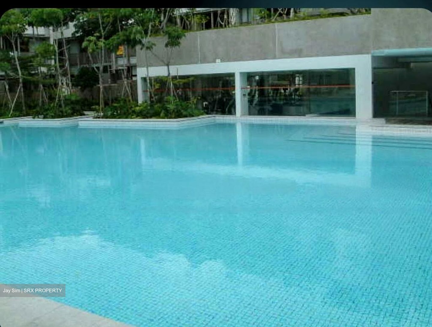 The Teneriffe (D10), Terrace #448575171